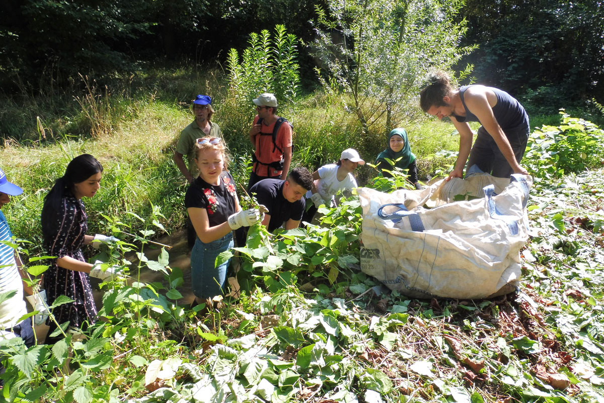 Mehrere Menschen stehen in einem Bach und befreien ihn von Laub