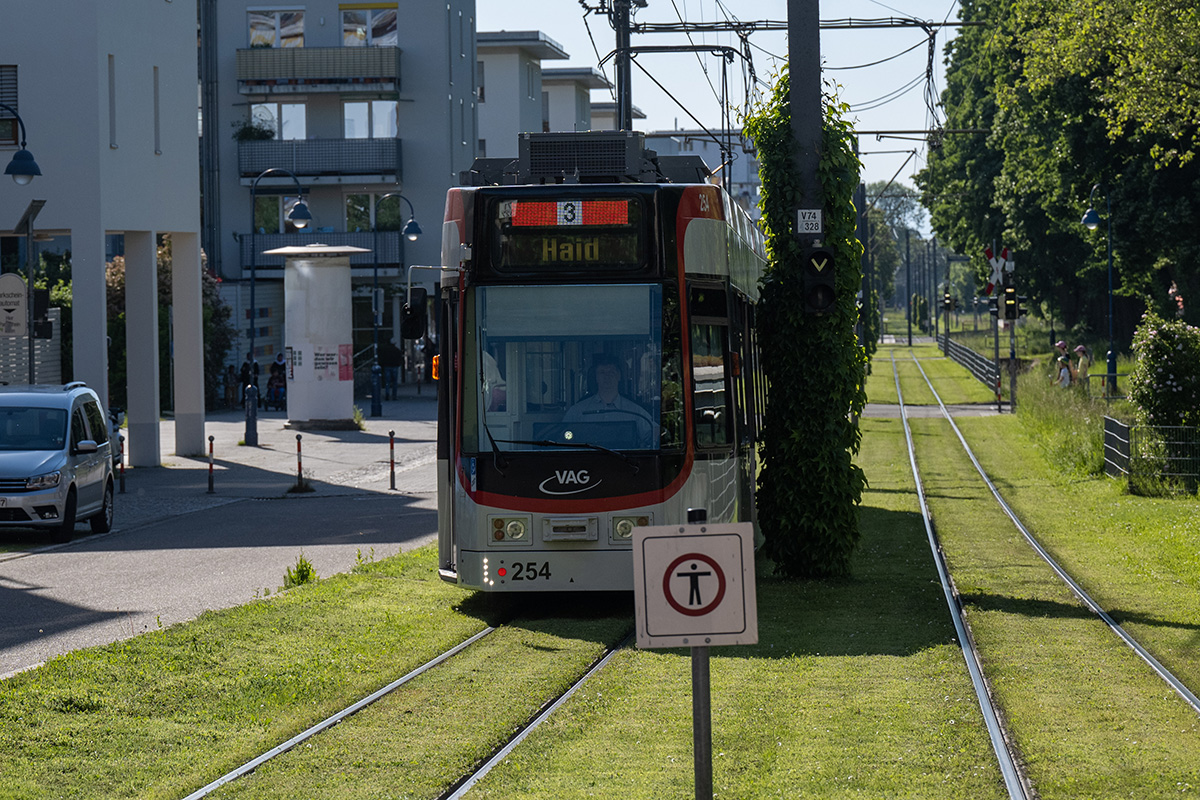 Straßenbahn auf Schienen im Mittelpunkt; der Untergrund ist begrünt