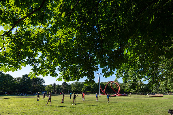 Eschholzpark mit Bäumen