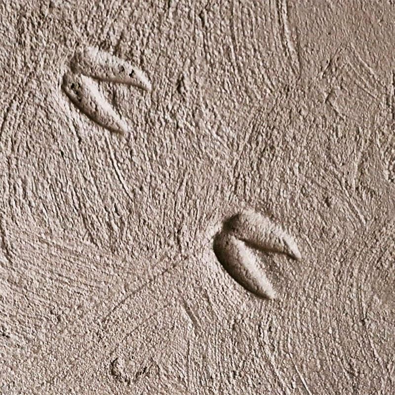 Abdrücke von Fußspuren Abdrücke von Fußspuren