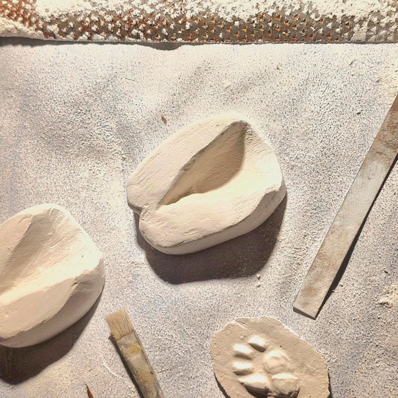 Die Abdrücke haben wir mit Gips ausgegossen und trocknen lassen. Die Abdrücke haben wir mit Gips ausgegossen und trocknen lassen.