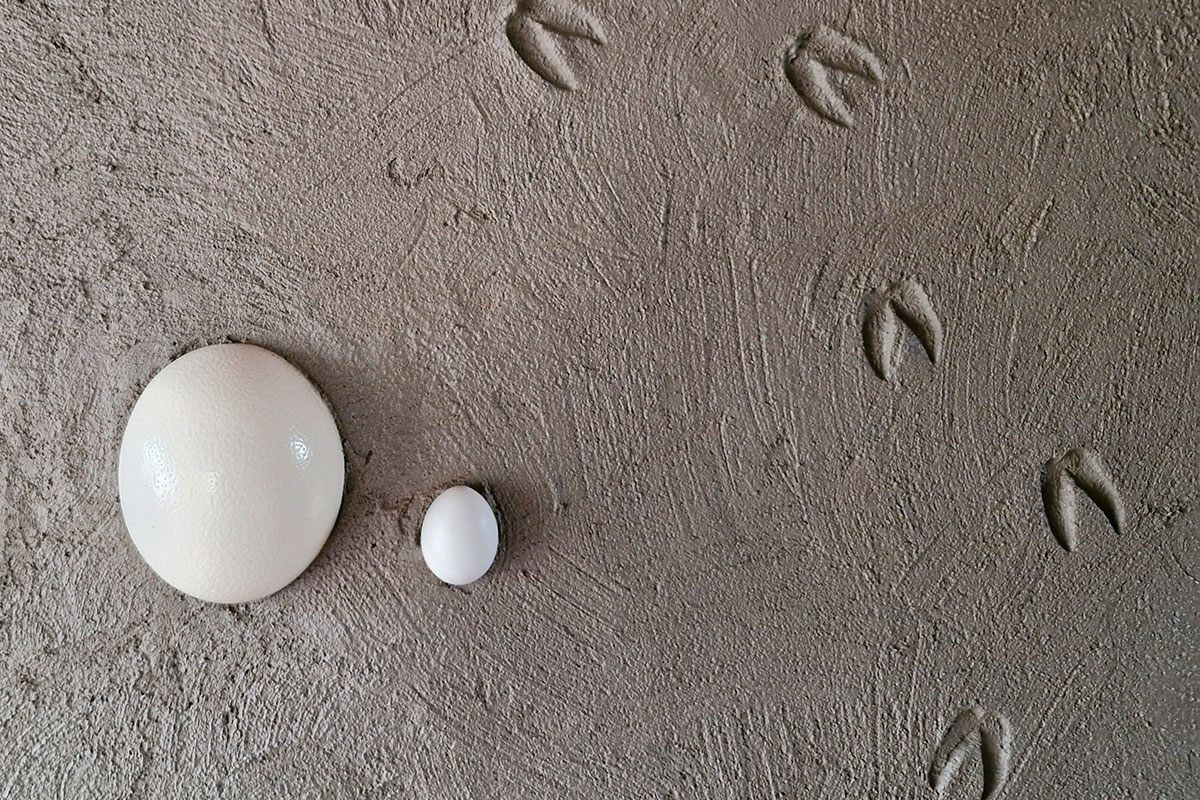 Tierspuren