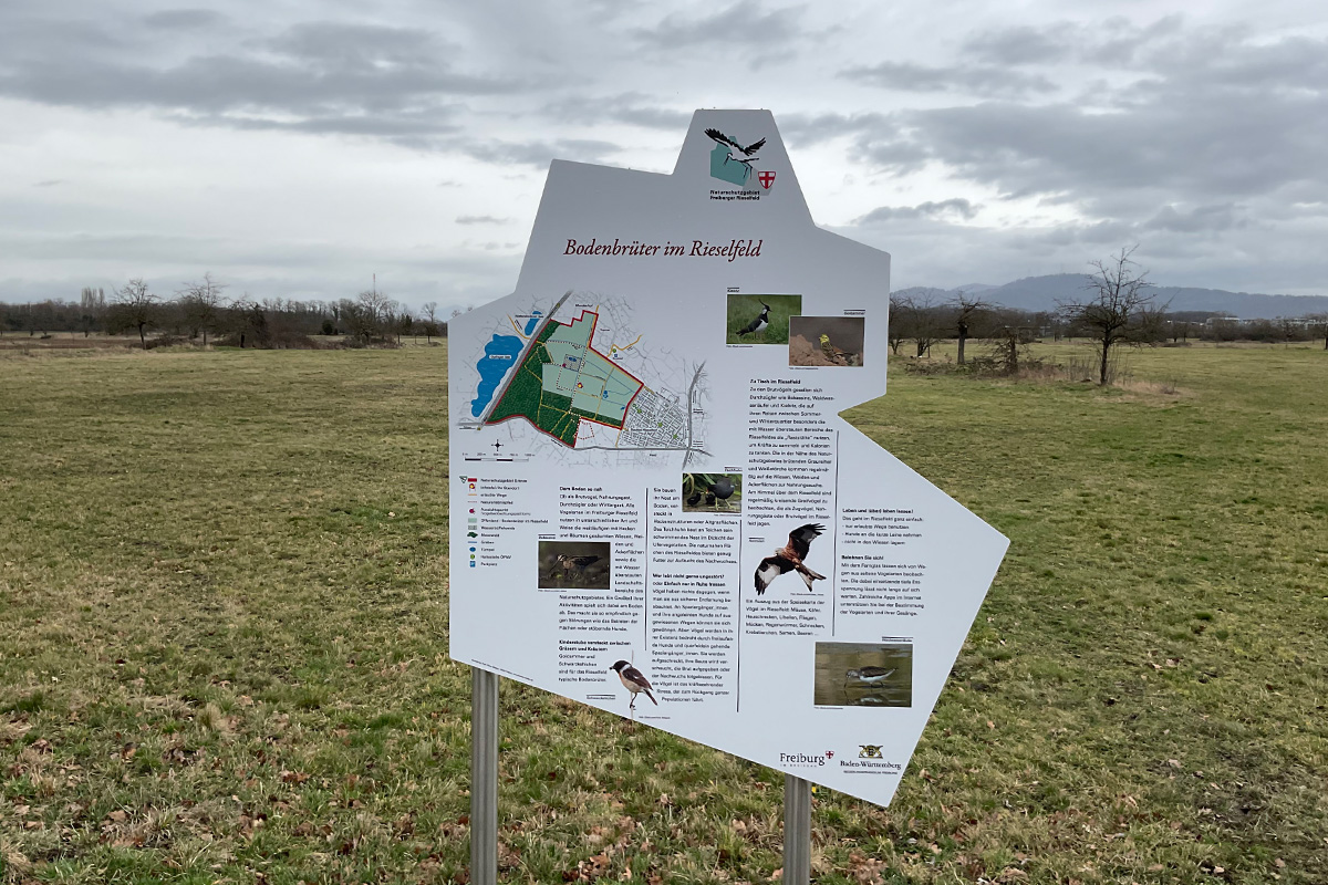 Vieleckige Tafel zum Thema Bodenbrüter