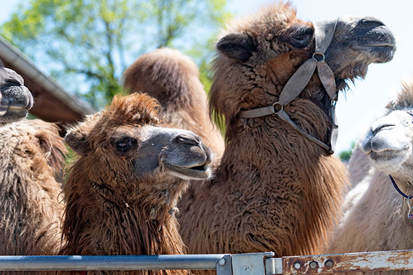 Stadtteil Dietenbach