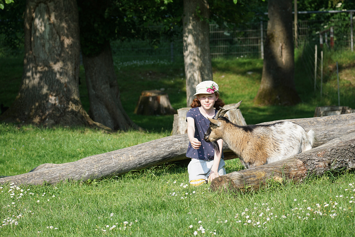 Mädchen mit einer Ziege im Grünen