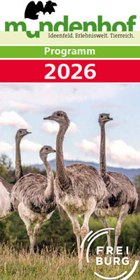 Grüner Mundenhof Schriftzug oben 