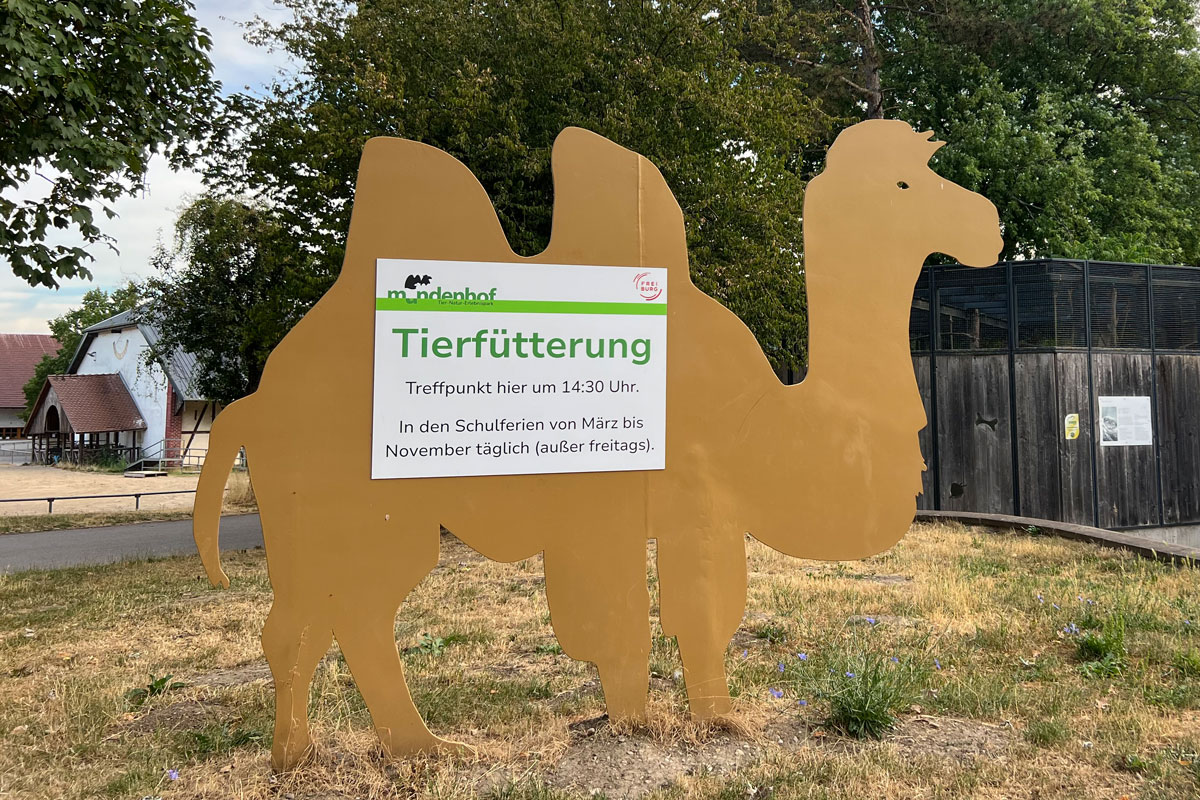 Blechkamel mit Schild "Tierfütterung"