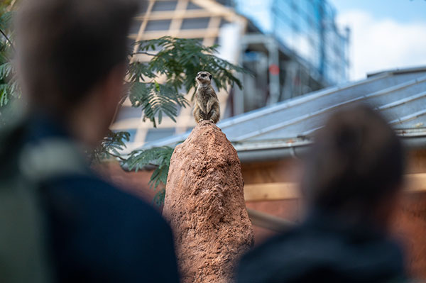 Fragen und Antworten