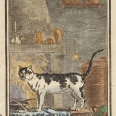 Ein kolorierter Kupferstich von 1758 von dem Künstler Jacques de Sève, auf dem eine Katze abgebildet ist, die auf einem Tisch vor einem Kamin steht.