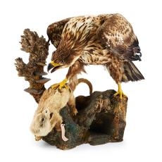 Eagle with otter, Schottelius Coll., inventory number 365, photo: Axel Killian