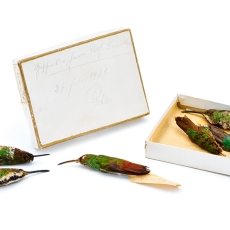 Hummingbird skins, Guenther donation 1931, photo: Axel Killian