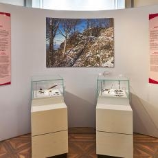 Blick in die Ausstellung "freiburg.archäologie - Leben vor der Stadt"