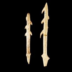 Harpunen aus Geweih, Engen 10.000 v. Chr, Foto: Axel Killian