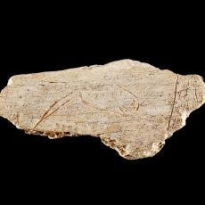 Knochenfragment mit Pferdekopf, Engen 10.000 v. Chr, Foto: Axel Killian
