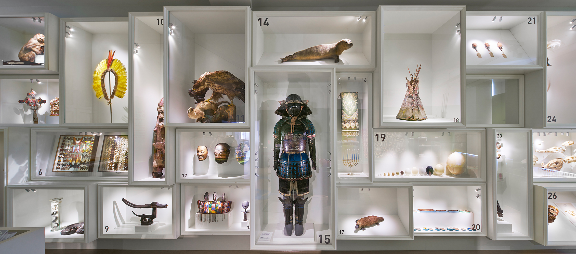 Setzkasten im Museum Natur und Mensch mit verschiedenen Objekten aus Naturkunde und Ethnologie