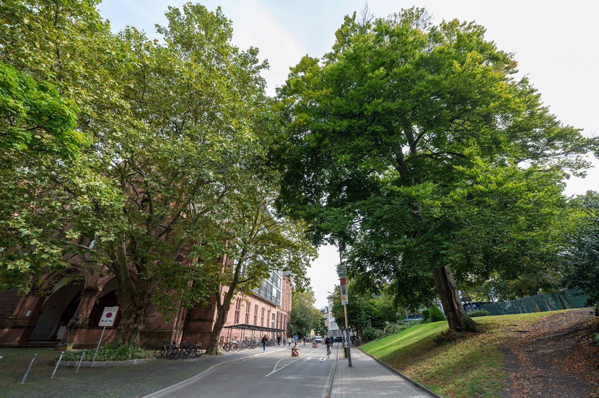 Rempartstraße in der Freiburger Innenstadt
