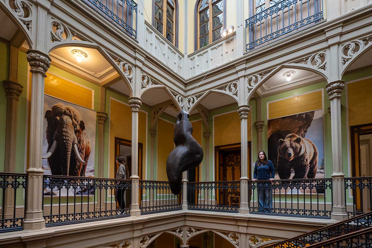 Hängende Frauenfigur im Treppenhaus des Colombischlösschens
