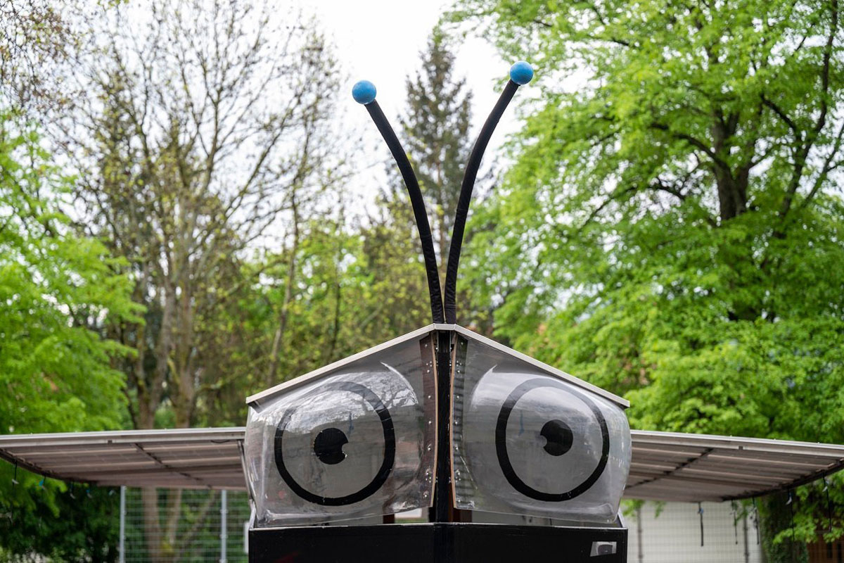 Augen des SolarButterflys