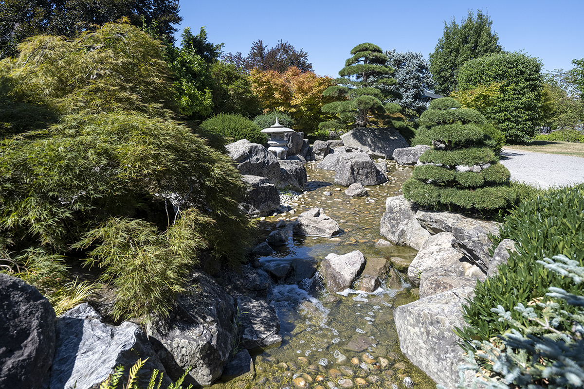 Wasserlauf in einem Garten